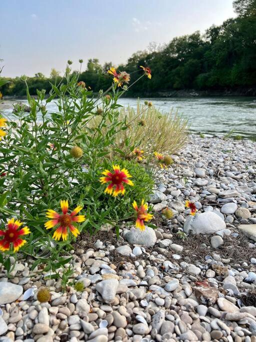 The River Haven - Sleeps 32 - On Guadalupe River Seguin Esterno foto